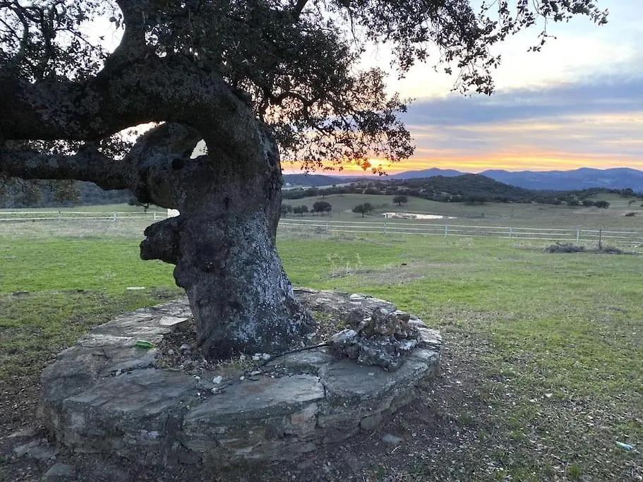 Finca La Alcolehuela En Parque Natural De Despenaperros Santa Elena Holiday home